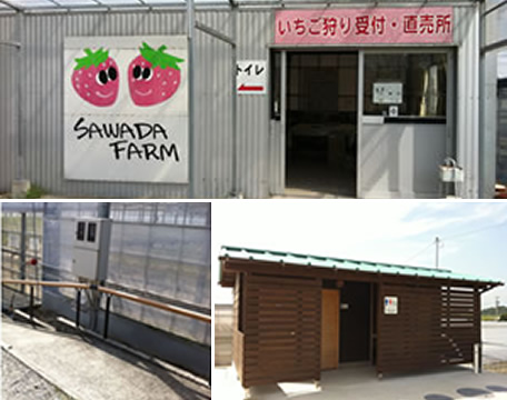 いちご狩り 料金案内 Sawada Farm 澤田農園